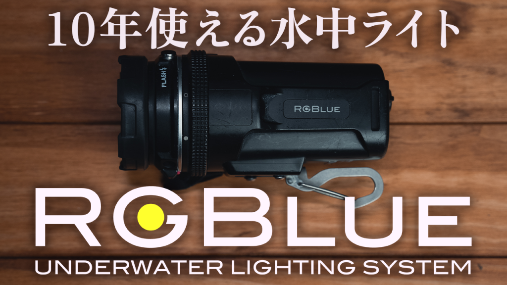 【2023.05.04-2023.05.10】THIS WEEK’S BIGHOLIDAY