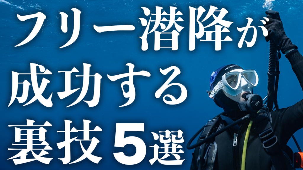 【2023.-07.27-2023.08.02】THIS WEEK’S BIGHOLIDAY