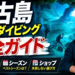 宮古島ファンダイビング完全ガイド