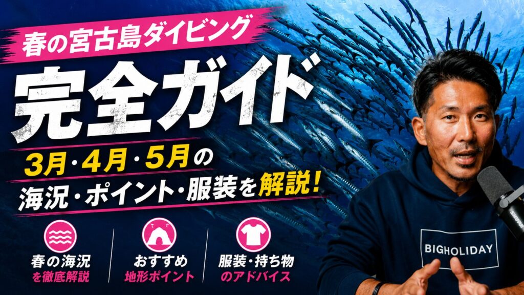 宮古島ダイビング 春