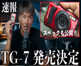 【2023.09.14-2023.09.20】THIS WEEK’S BIGHOLIDAY