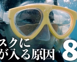 【2023.03.02-2023.03.08】THIS WEEK’S BIGHOLIDAY