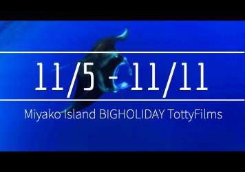【11/5〜11/11】THIS WEEK’S BIGHOLIDAY