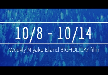 【10/8〜10/14】This week’s BIGHOLIDAY
