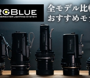 【2023.05.11-2023.05.17】THIS WEEK’S BIGHOLIDAY